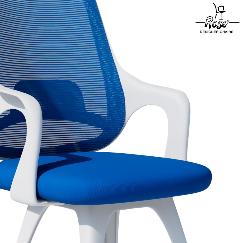 Mono White and Blue