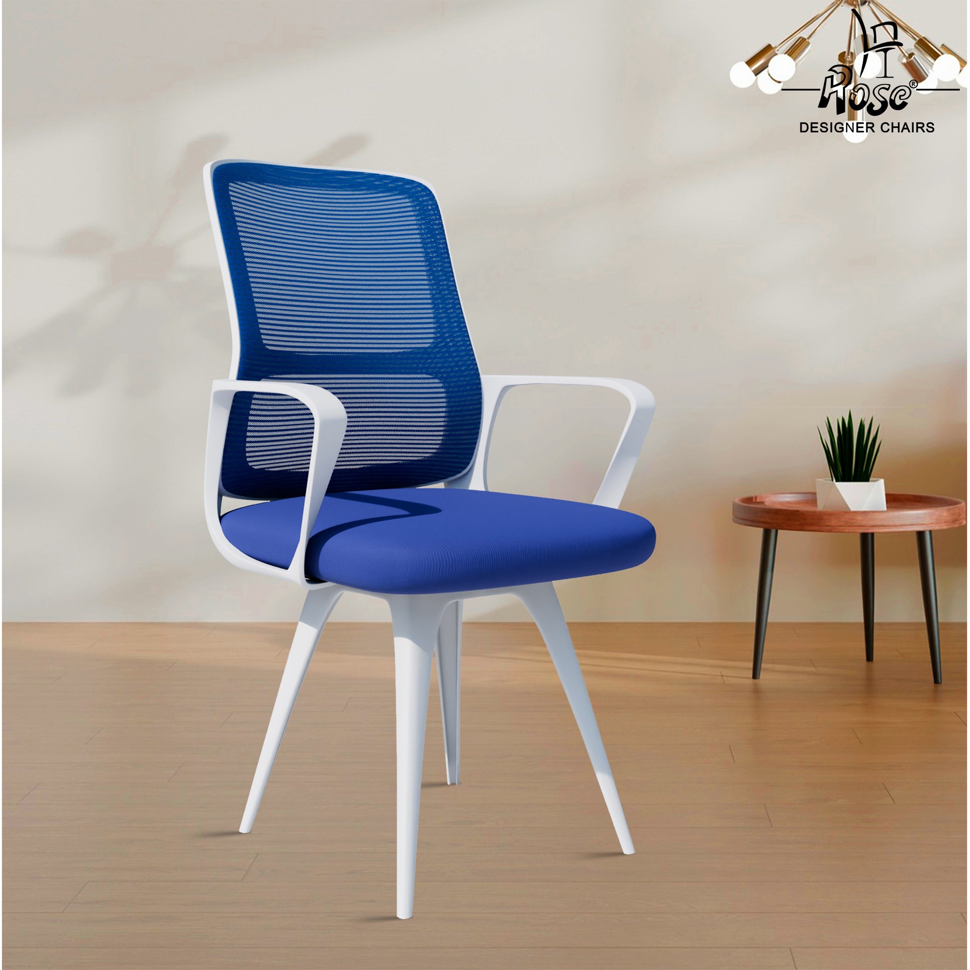 RDCElanzoWhite&Blue