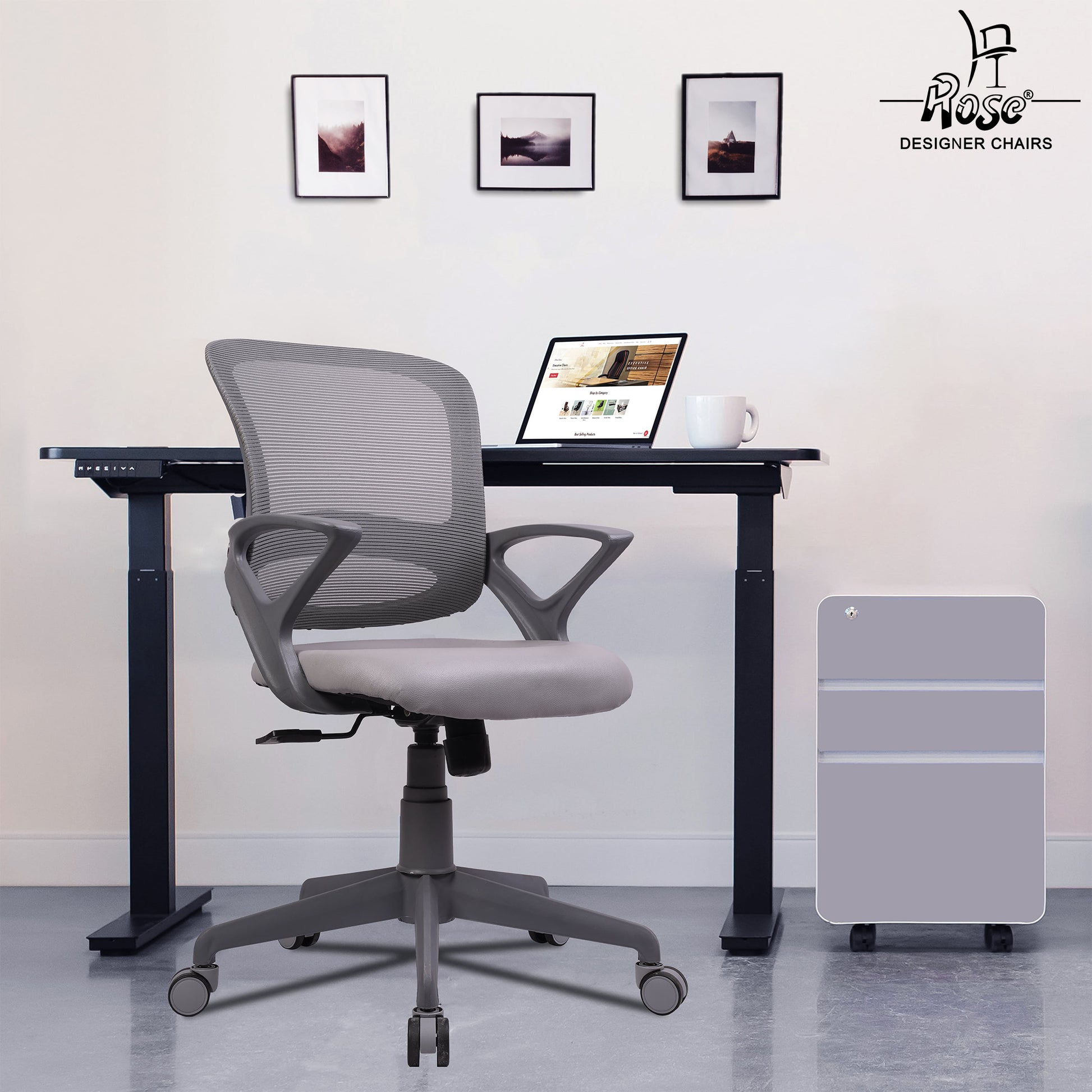 ROSE® Germany Mesh Mid-Back Ergonomic Office Chair  (Grey)