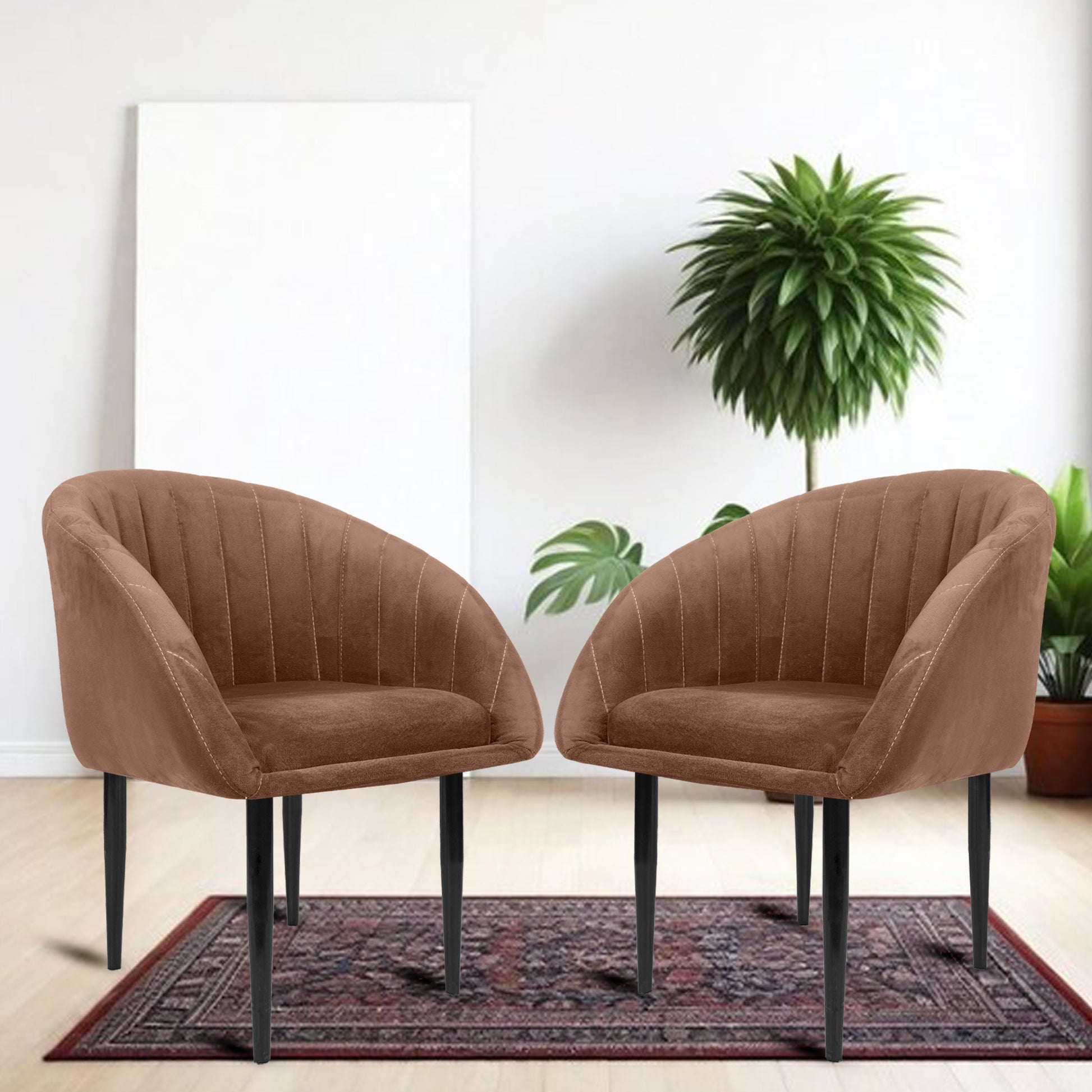 ROSE® Amber Dining Chair |Cafe Chair | Accent Chair for Living Room Bedroom Study Room