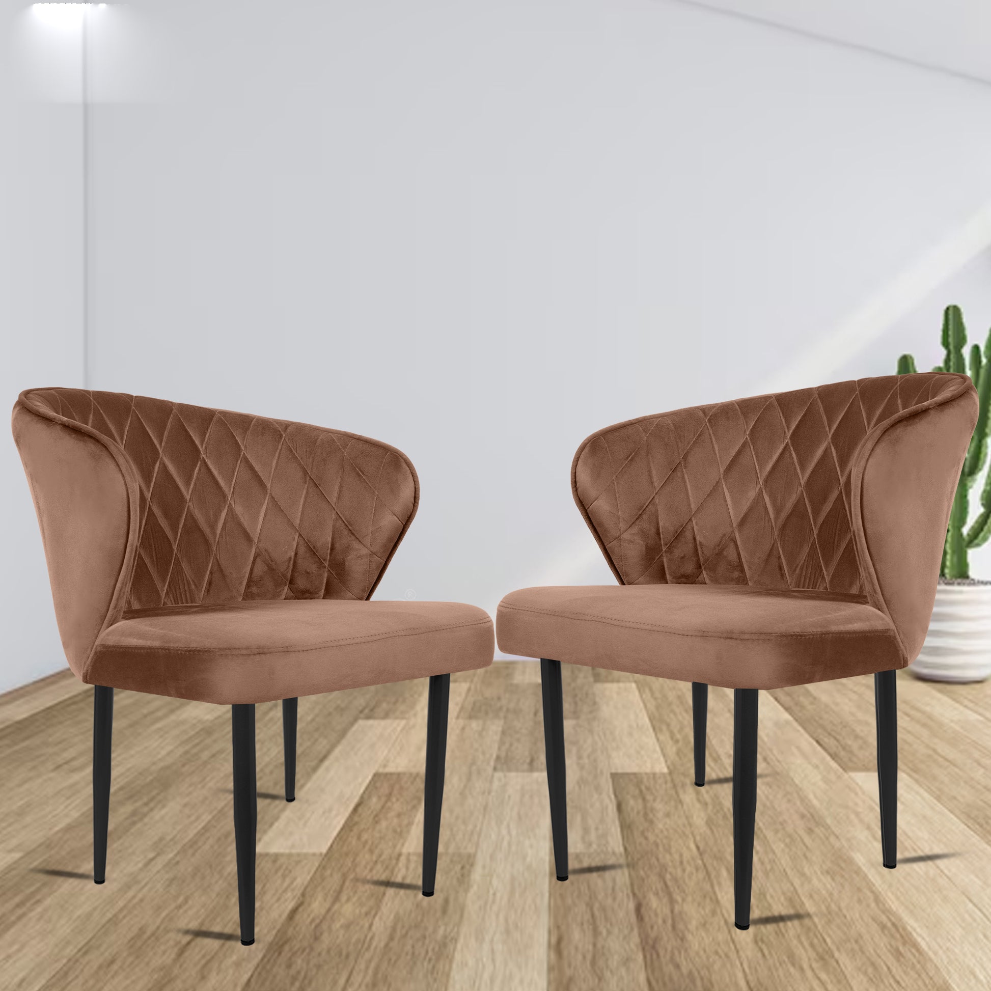 ROSE® Tora Dining Chair |Cafe Chair | Accent Chair for Living Room Bedroom Study Room | 1 Year Warranty