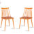 Gracce Orange Set of 2